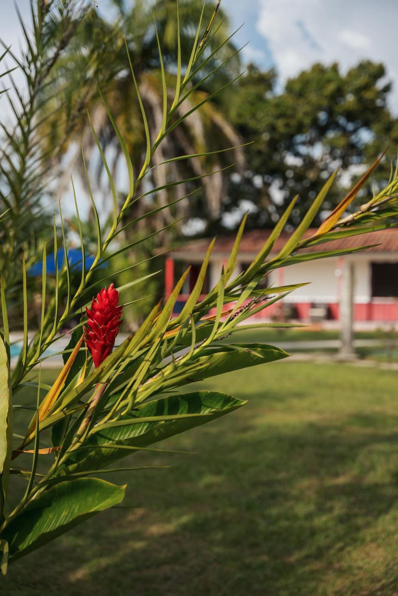Finca Hotel Puerto Espejo Ngoại thất bức ảnh